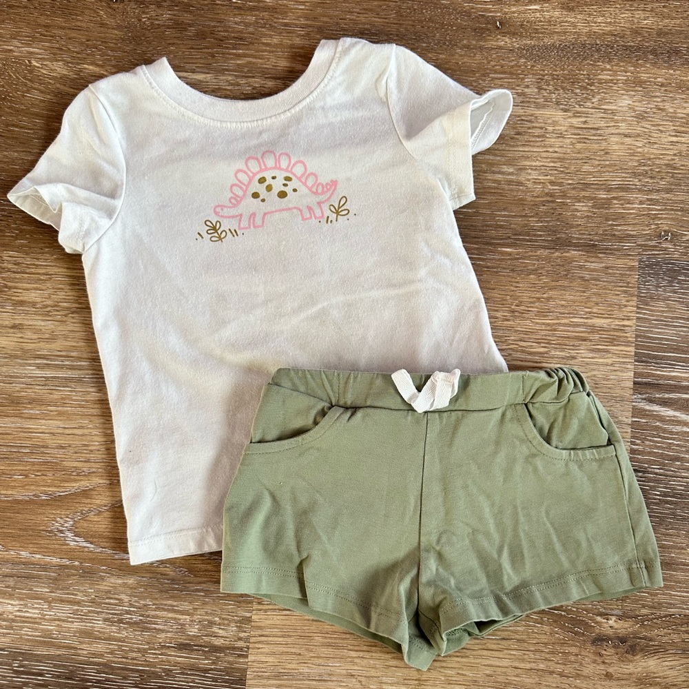 Cat & Jack Dinosaur shirt + bottoms